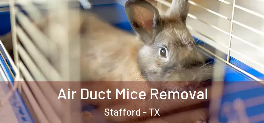  Air Duct Mice Removal Stafford - TX