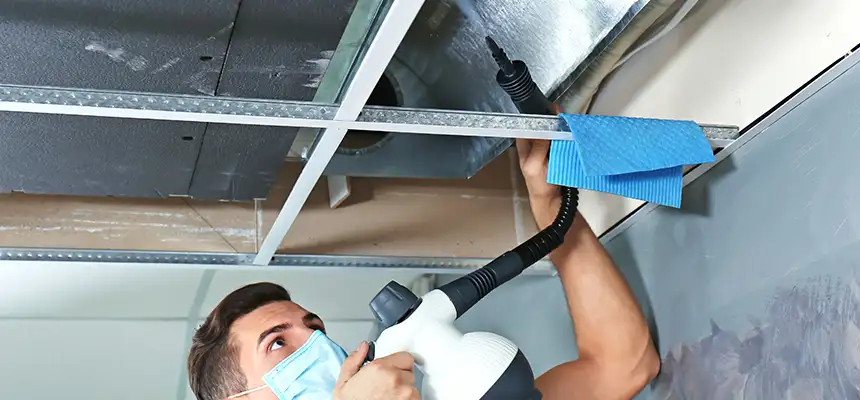 Our Air Duct Rodent Removal Services in Stafford, TX