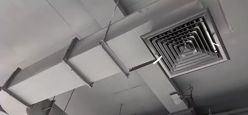 Restorative Allergy Relief Vent Cleaning – Coil, Blower & Housing Detail in Stafford