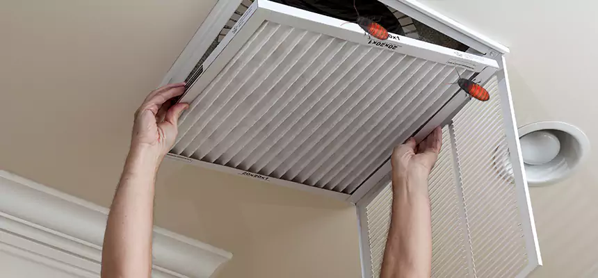 Our Insect Removal from Air Ducts Services in Stafford, TX