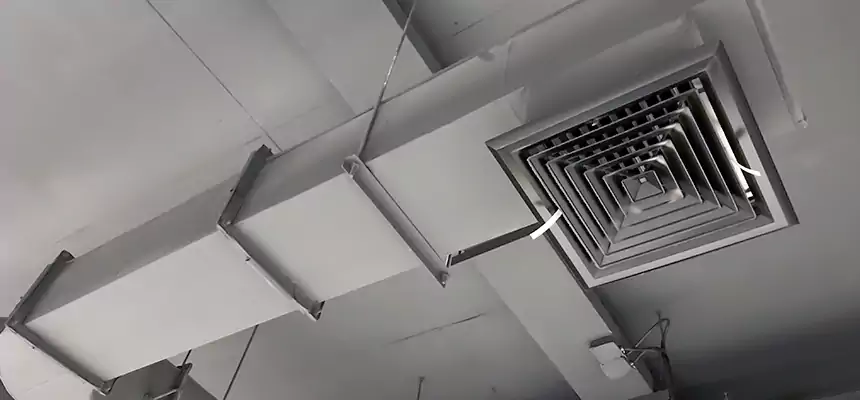 Our Pest Removal From Ducts Services in Stafford, TX