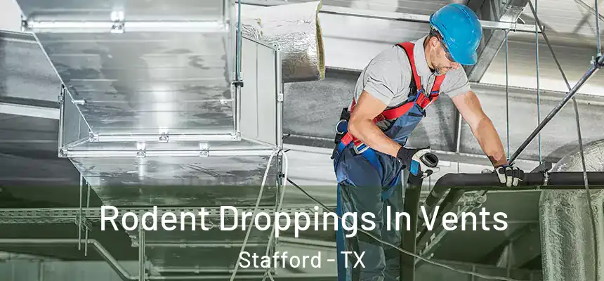  Rodent Droppings In Vents Stafford - TX