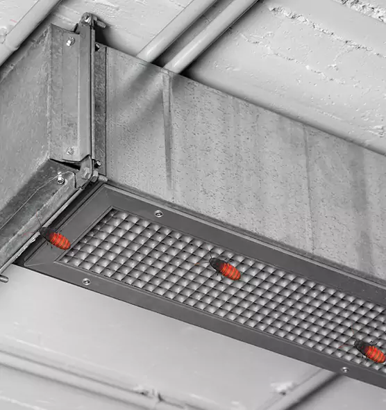 Affordable Insect Removal from Air Ducts in Stafford, TX