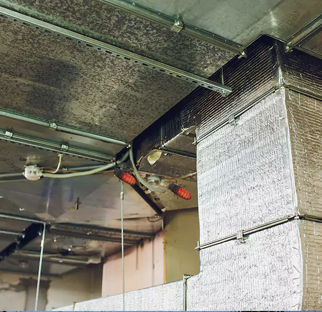 Why Homeowners & Businesses Trust Us in Stafford, TX?