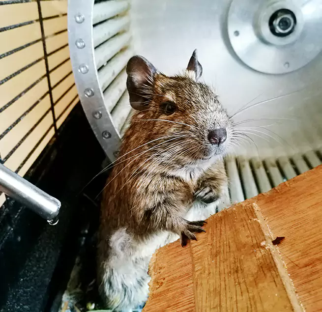 Why Homeowners & Businesses Trust Us Stafford, TX