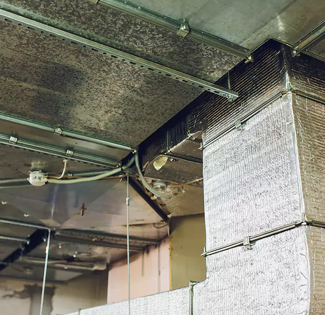 Why Homeowners & Businesses Trust Us in Stafford, TX?